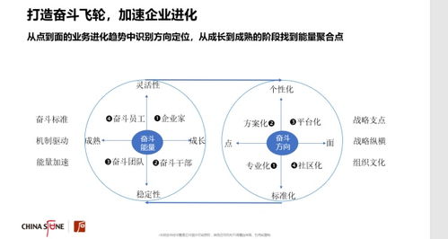 加速奮斗型組織進化 構建系統化文化管理體系的完整指南